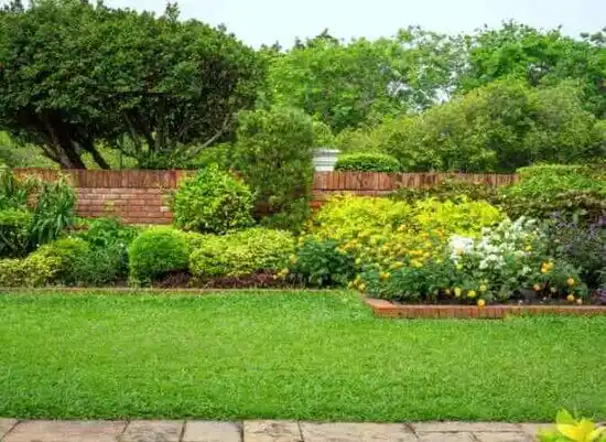 landscaping services Asheville